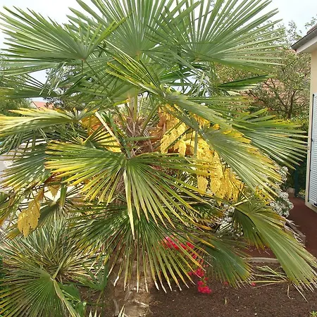 D'hotes Sebastien * Ruaudin